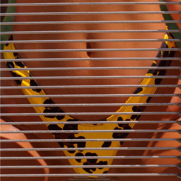 Minimale Animale Bikini Bottom Cheetah - Picture 4 of 4